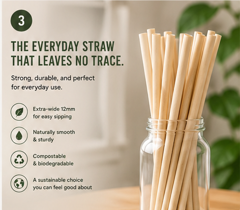 Sugarcane Straws — Compostable, No Soggy Paper Taste (100-Count)