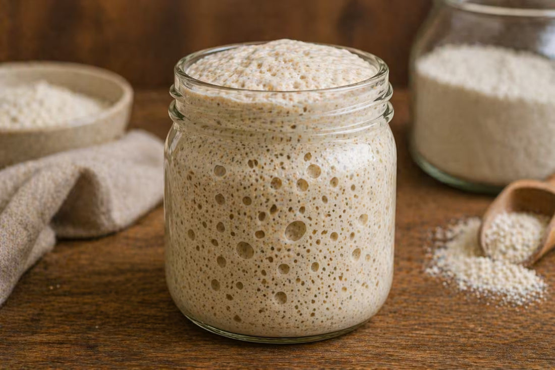 "How to Activate a Gluten-Free Sourdough Starter (Step-by-Step Guide)"