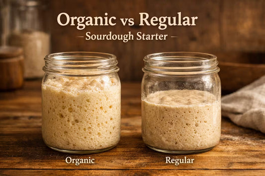Organic vs regular sourdough starter side by side showing differences in activity and texture