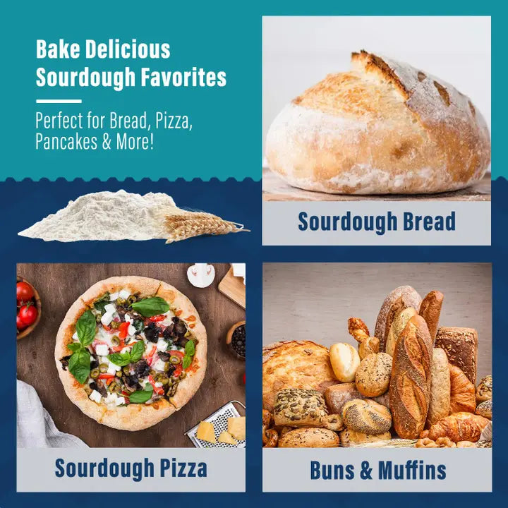 Organic Mature Sourdough Starter – 12g