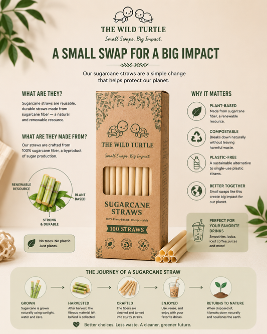 Clearance Sugarcane Straws — Compostable, No Soggy Paper Taste (100-Count)