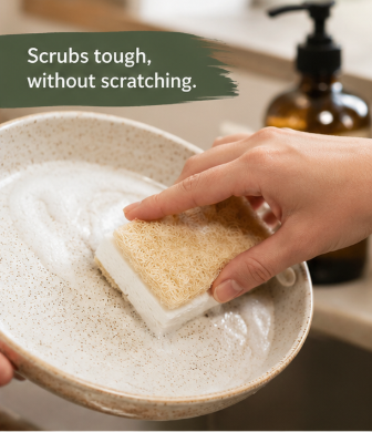 Loofah Cellulose Kitchen Sponge 3 Pack