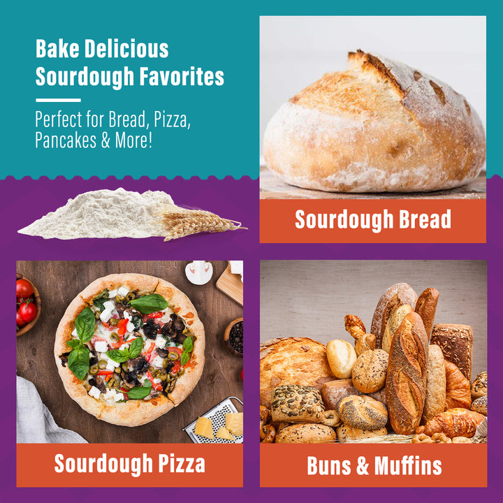 Organic Non-GMO, Freeze Dried, Sourdough Starter. 12 grams. SAN FRANCISCO STYLE