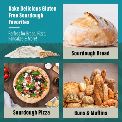Organic Non-GMO Gluten-Free Sourdough Starter – 12g