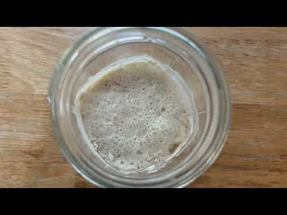 Organic Non-GMO, Freeze Dried, Sourdough Starter. 12 gr NEW