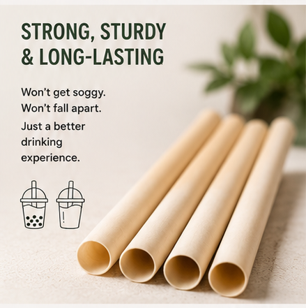 Boba Straws — Wide, Compostable, Sugarcane Fiber (50-Count)