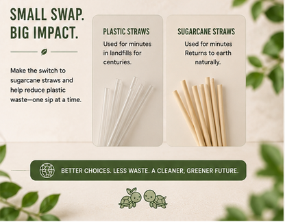 Sugarcane Straws — Compostable, No Soggy Paper Taste (100-Count)
