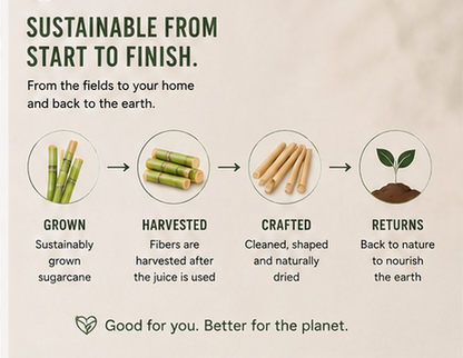 Sugarcane Straws — Compostable, No Soggy Paper Taste (100-Count)