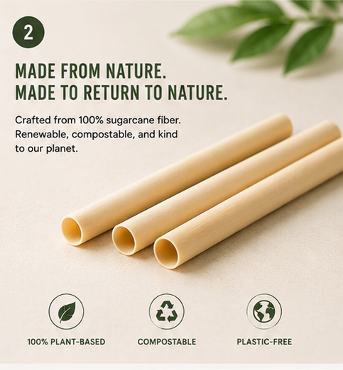Sugarcane Straws — Compostable, No Soggy Paper Taste (100-Count)